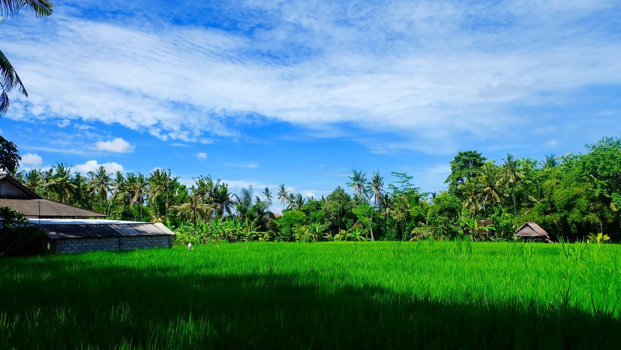 Hotel Wiki Bali Ubud Exterior foto